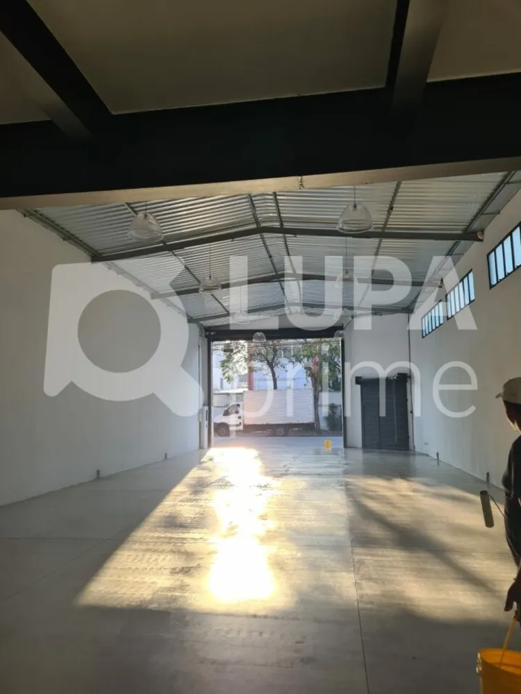 Depósito-Galpão, 243 m² - Foto 4