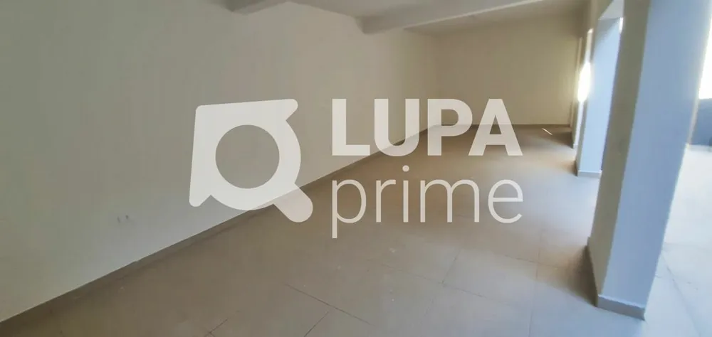 Casa, 5 quartos, 250 m² - Foto 8