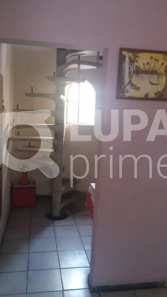 Casa, 3 quartos, 240 m² - Foto 6