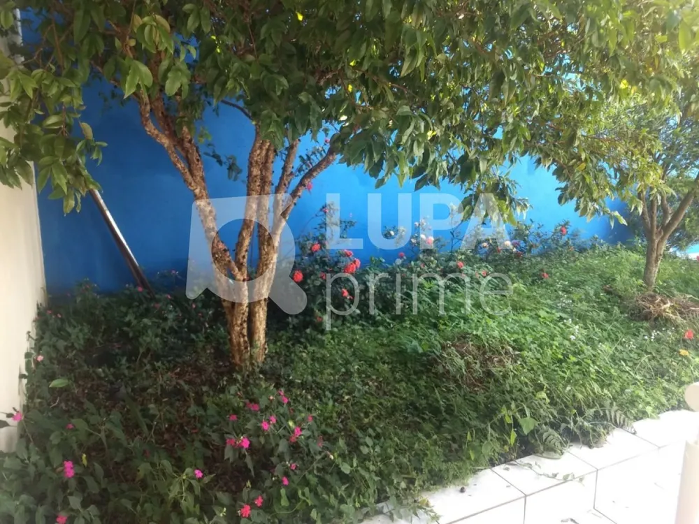 Casa, 3 quartos, 300 m² - Foto 6