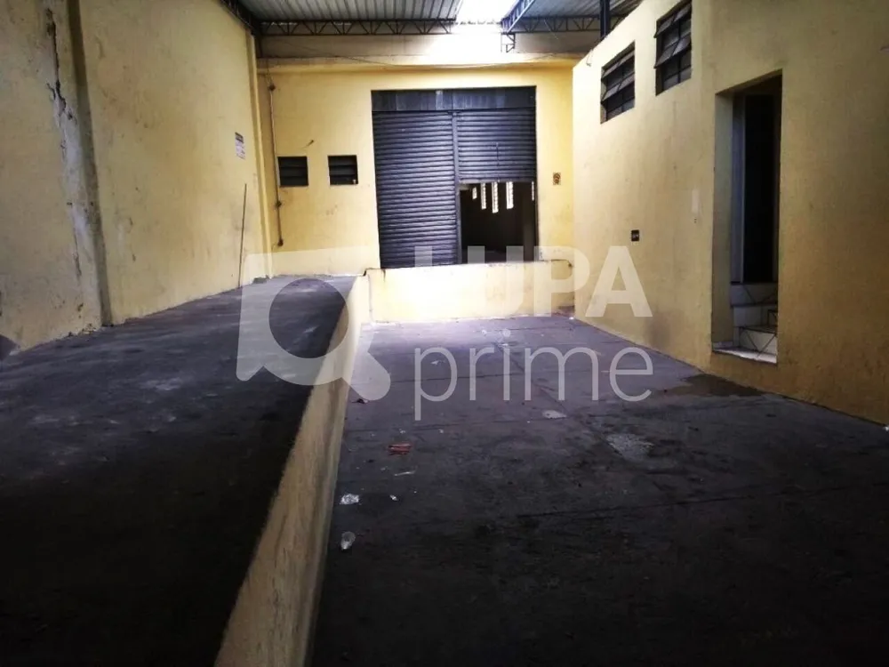Depósito-Galpão, 745 m² - Foto 6