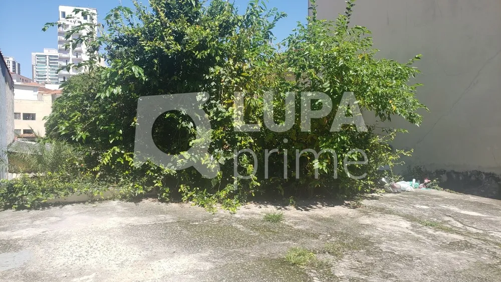 Casa, 11 quartos, 860 m² - Foto 1