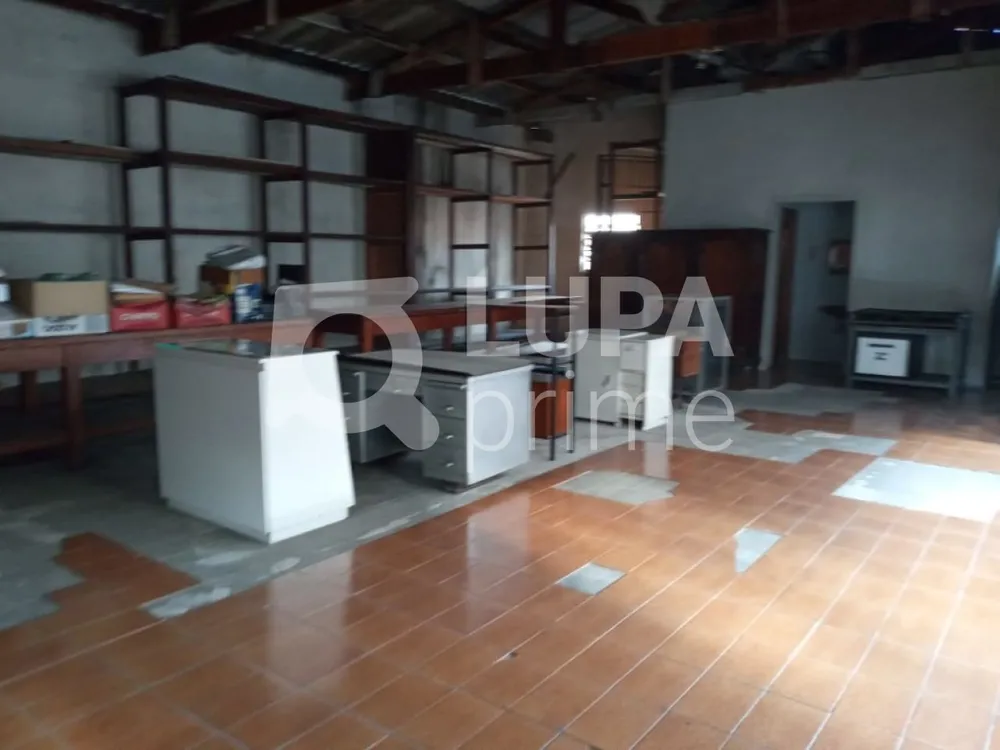 Casa, 4 quartos, 330 m² - Foto 3