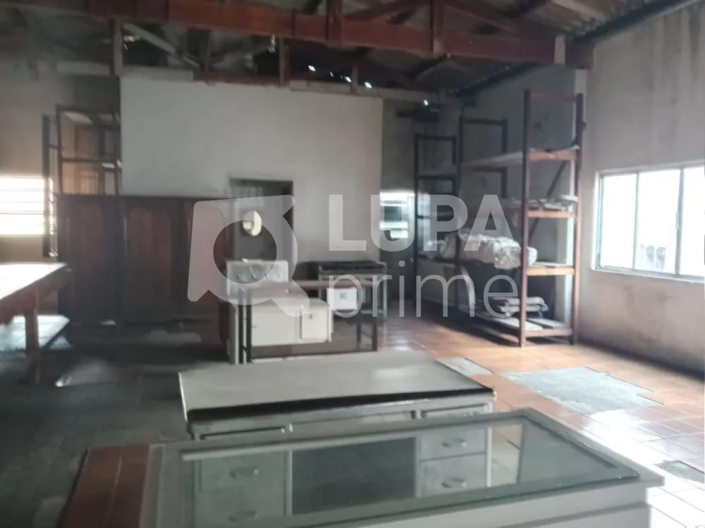 Casa, 4 quartos, 330 m² - Foto 7