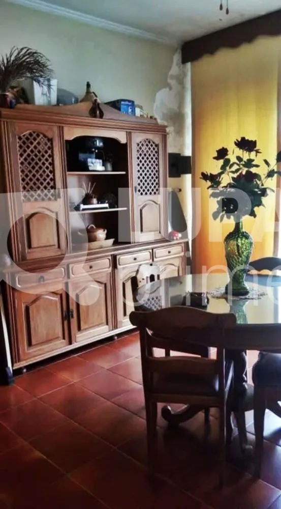 Casa, 4 quartos, 326 m² - Foto 12