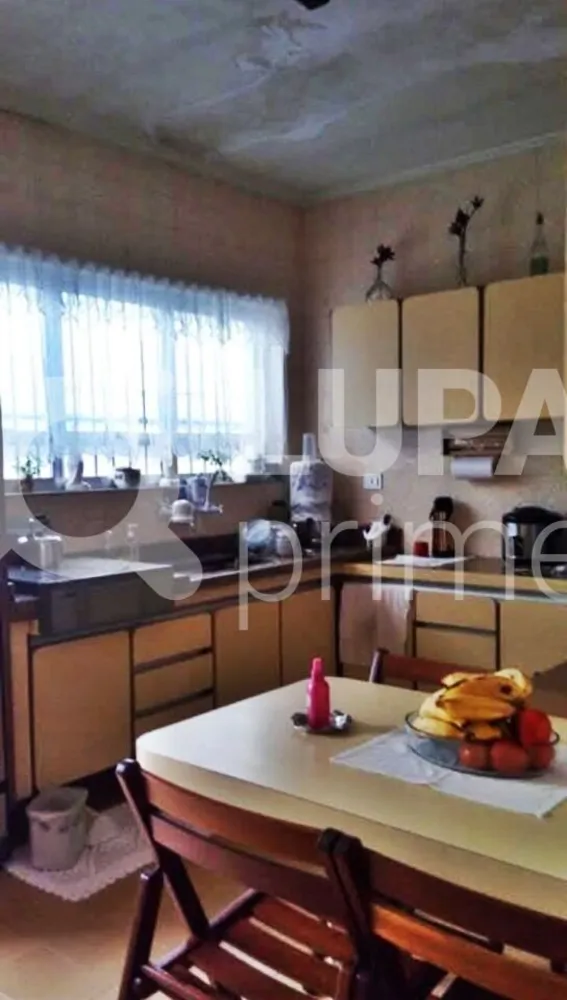 Casa, 4 quartos, 326 m² - Foto 11