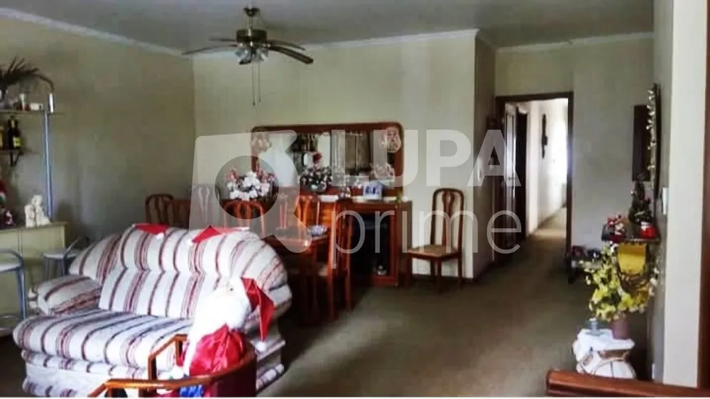 Casa, 4 quartos, 326 m² - Foto 3