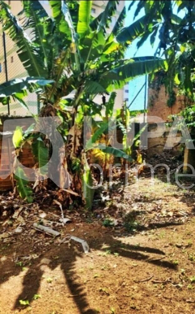 Terreno à venda, 100m² - Foto 1