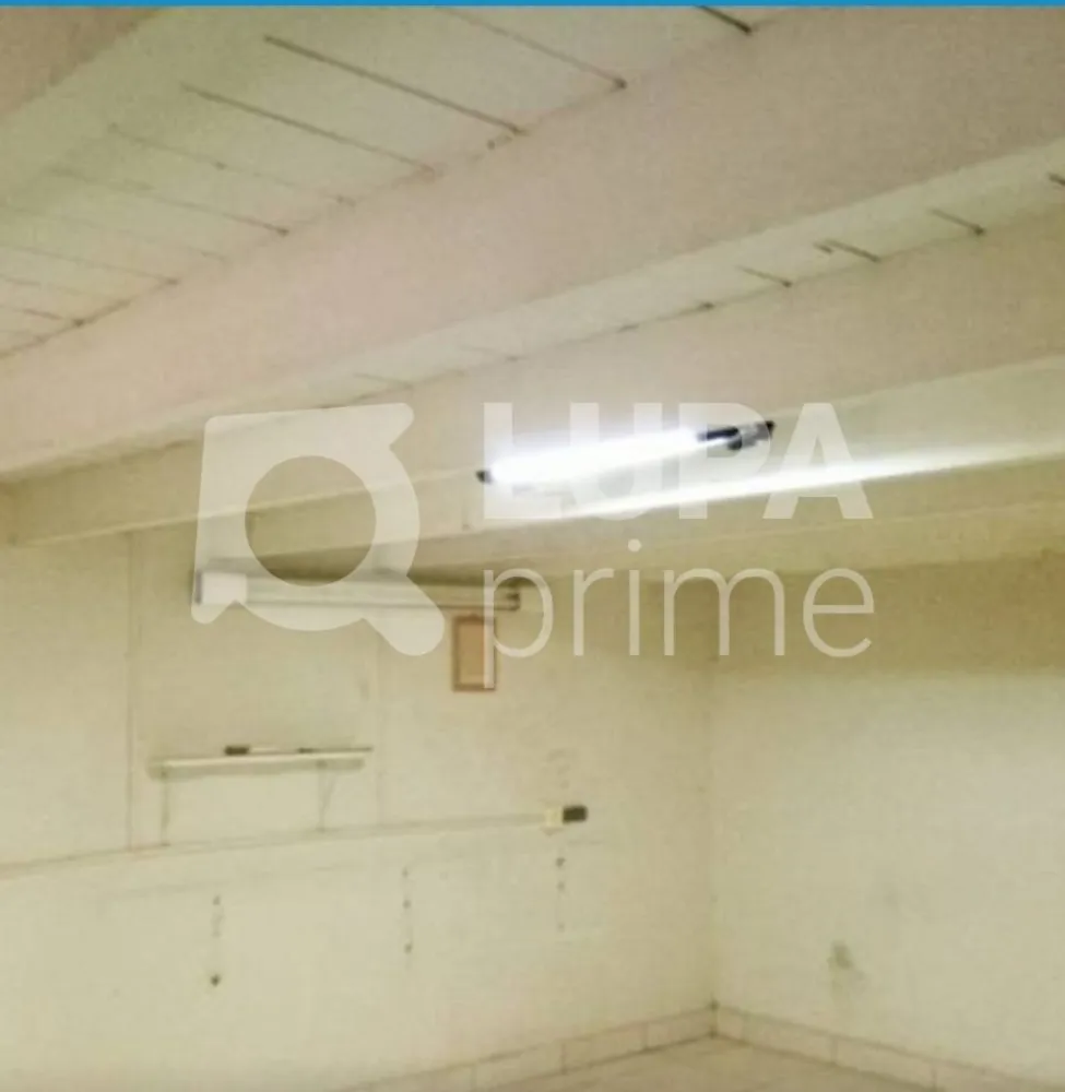 Casa, 3 quartos, 200 m² - Foto 10