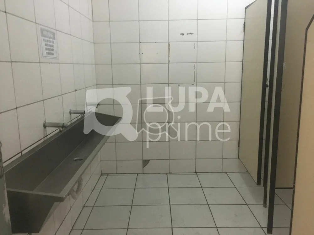 Depósito-Galpão, 550 m² - Foto 3