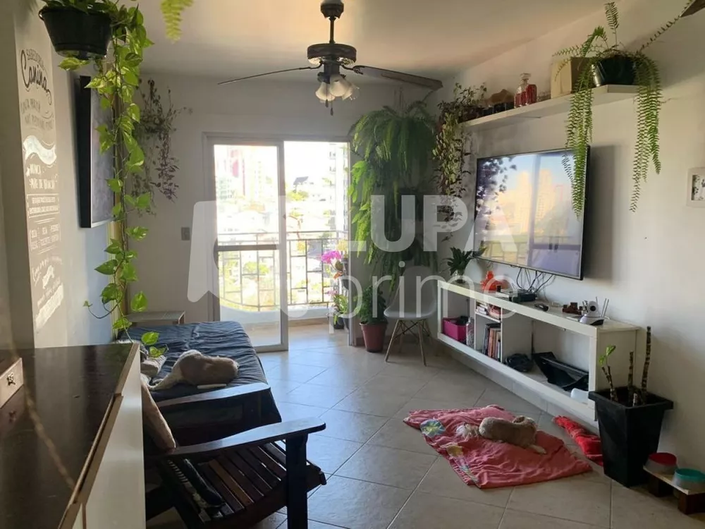 Apartamento à venda com 3 quartos, 87m² - Foto 2