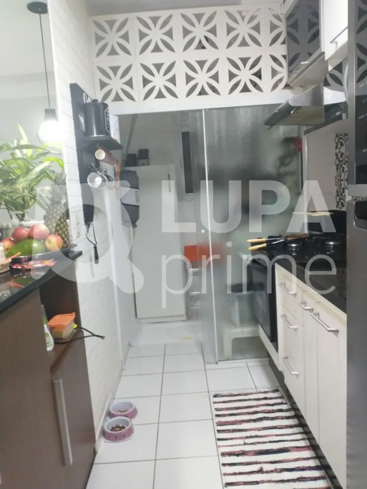 Apartamento, 3 quartos, 65 m² - Foto 15