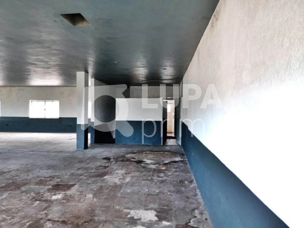 Loja-Salão, 250 m² - Foto 3