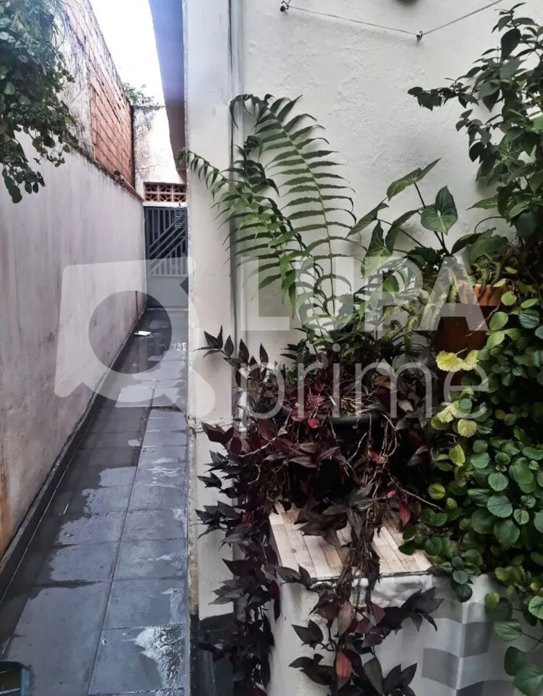 Casa, 5 quartos, 135 m² - Foto 2