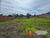 Terreno, 179 m² - Foto 3