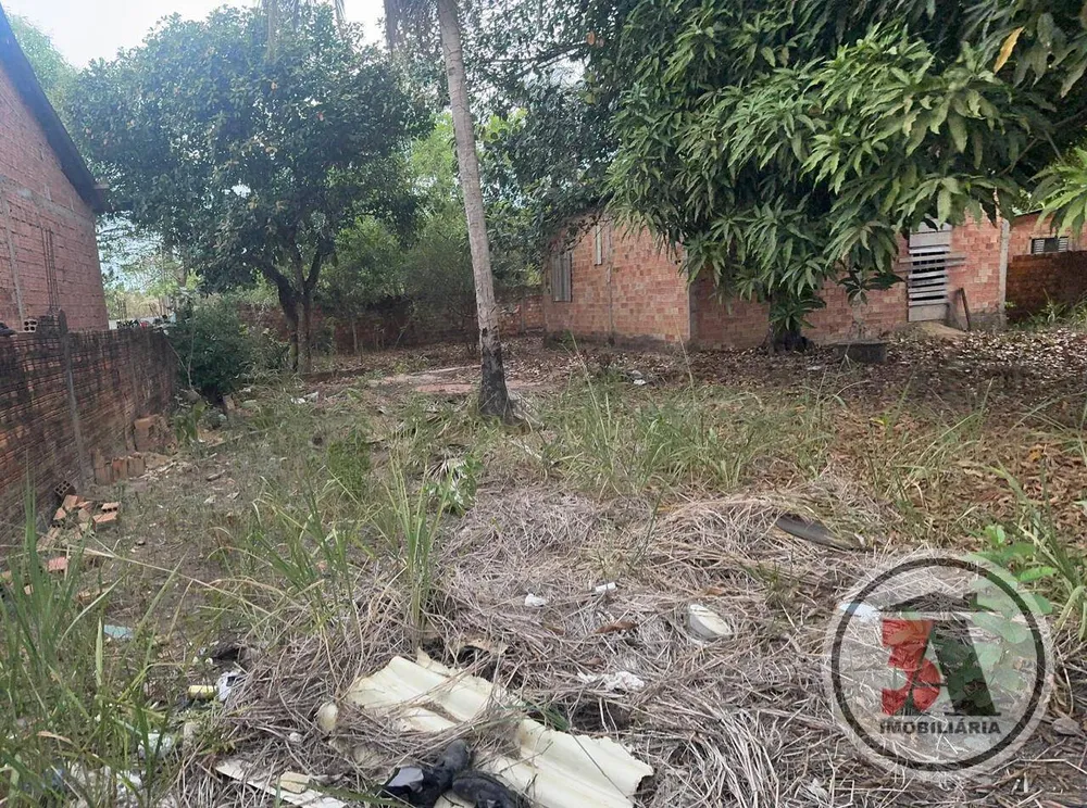 Terreno - Foto 2