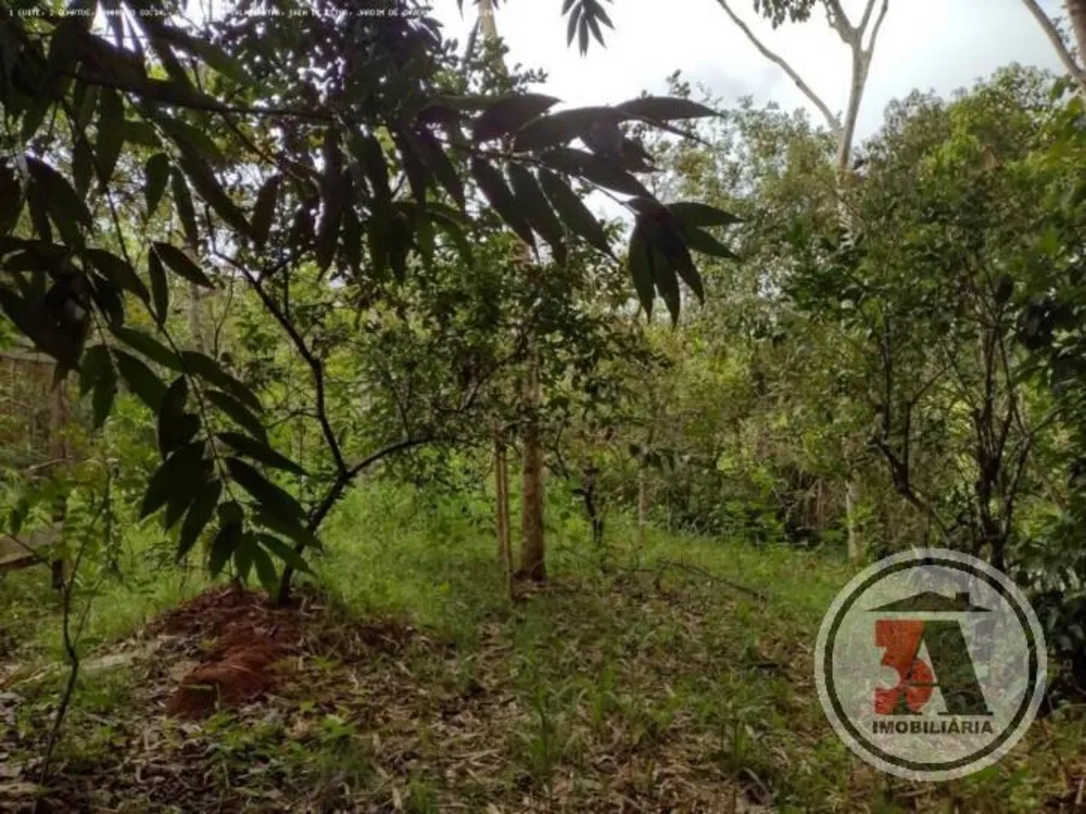 Terreno, 10000 m² - Foto 3