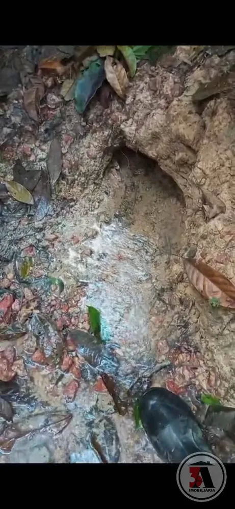 Terreno - Foto 4