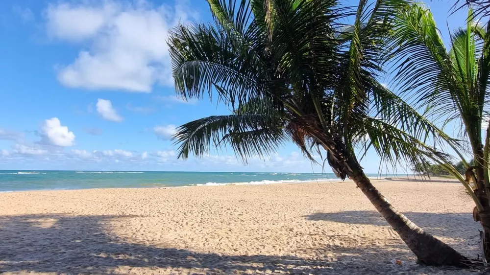 Terreno, 560 m² - Foto 3